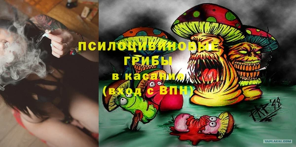 ешки Волоколамск