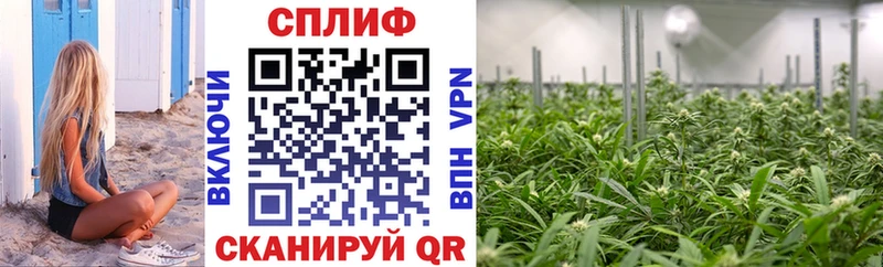 Каннабис семена купить наркоту Люберцы